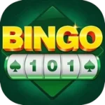Bingo 101