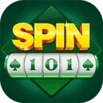 Spin 101